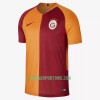 Koszulka Galatasaray Spor Kulübü Domowe Stroje Piłkarskie 2018/19 Krótki Rękaw